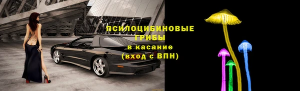 ГАЛЛЮЦИНОГЕННЫЕ ГРИБЫ Алзамай