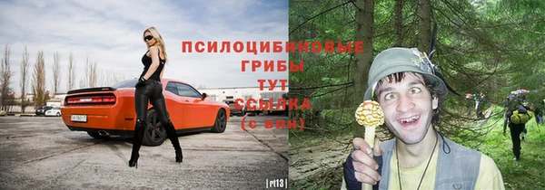 спиды Абинск